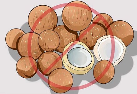 orehi-dlya-sobak орехи для собак